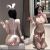 Bunny Girl Sexy Erotic Sets For Women New Cosplay Costume Sex Rabbit Clothes Dress Jumpsuit Bodysuit Lingerie Exotic Apparel