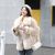 New Autumn Winter Faux Fur Lamb Jacket Women Fashion Lapel Zipper Short Coat Lady Thick Warm Shaggy Loose Plush Coat Female