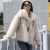 New Autumn Winter Faux Fur Lamb Jacket Women Fashion Lapel Zipper Short Coat Lady Thick Warm Shaggy Loose Plush Coat Female