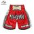 Boxing Shorts Mens Womens Kids Muay Thai Shorts Satin Polyester Embroidery Fight Kickboxing Pants  Martial Arts MMA Clothing