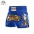 Muay Thai Fight Shorts Breathable Kick Boxing Pants Women Men Kids MMA Training Shorts Competition Game Sanda Grappling Clothes