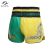 Muay Thai Shorts Embroidery Boxing Shorts Womens Mens Kids Fight Kickboxing Pants Gym Sports Grappling MMA Martial Arts Clothing