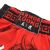 Thai Boxing Shorts MMA T Shirt Fitness Gym Training Muay Thai Pants Kickboxing Jerseys Sanda BJJ Jiu Jitsu Martial Arts Clothing